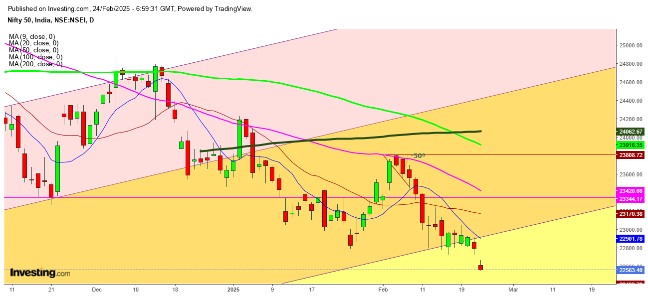 Nifty 50 Daily Chart