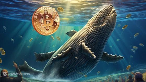 Crypto Millionaire Club: 3 Altcoins Favored by Bitcoin whales in 2024